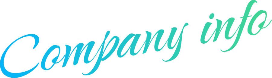 Company info description